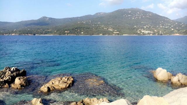 Magnifique Devant La Propriano (Corsica)